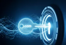 Domain Sorgulama Mükemmel Adres İçin 7 İpucu
