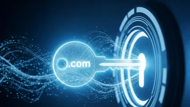 Domain Sorgulama Mükemmel Adres İçin 7 İpucu